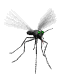 Benutzeravatar