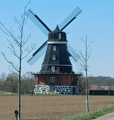 20230419_120510.jpg