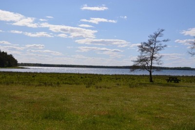 DSC_0090.jpg