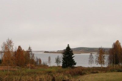 Bild141.JPG