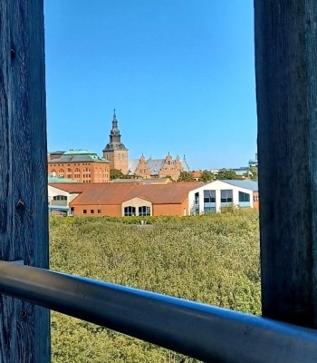 20230904_140535.jpg