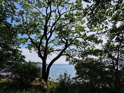 Bilderrätsel 17.08.24 1.jpg
