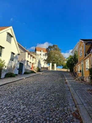 Bilderrätsel 19.01.26 1.jpg