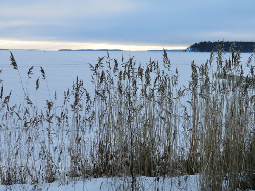 Der zugefrorene Mälarsee im Januar 2011