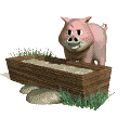 schweine-0005.gif