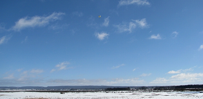 Heissluftballon ueber Hornborgasjön.JPG