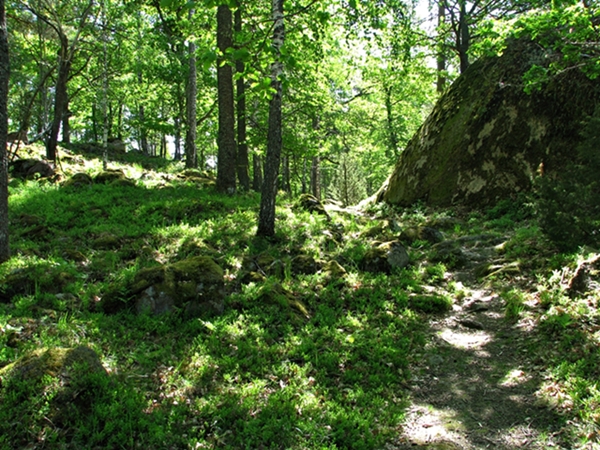 Stensjö By der Laubwald.JPG