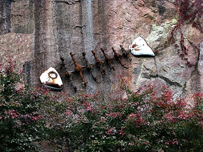 Fisch an der Bergwand.JPG