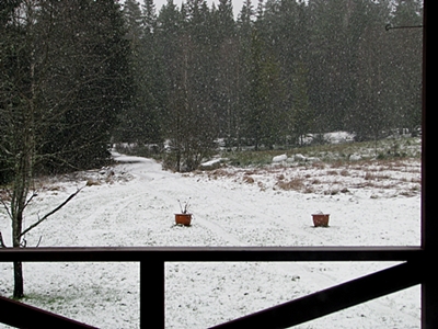 snön faller i Vaggeryd.JPG