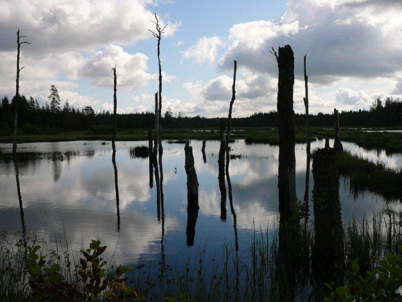 foto2.jpg