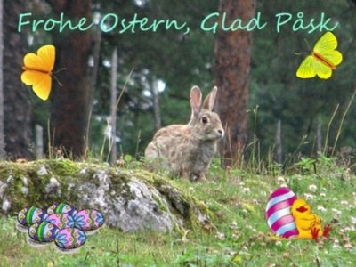 Frohe-Ostern-Glad-Psk-Happy-Easter.jpg