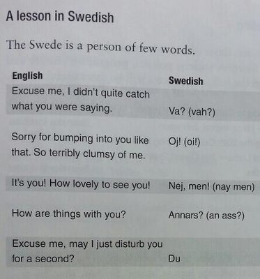Lesson-in-swedish.jpg