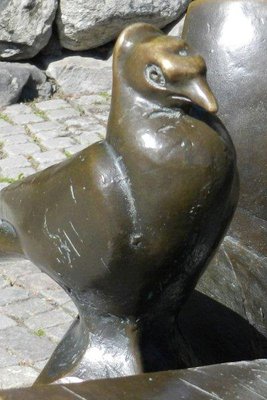 DSCN7916.jpg