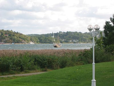 IMG_0201 neu.jpg
