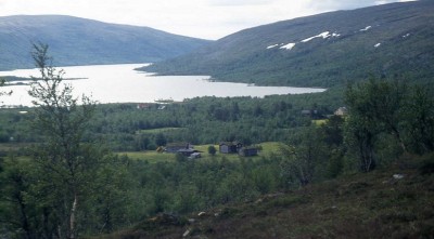 img175.jpg