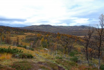 DSC_0399web.jpg