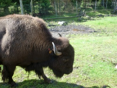 Bild 122.JPG