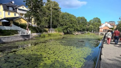 WP_20190719_15_22_13_Pro.jpg