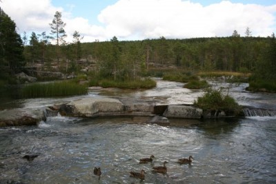 Foto 59.jpg