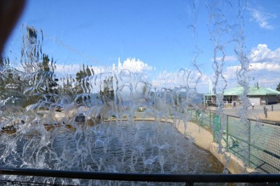 DSC_0325.jpg