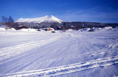 img277.jpg
