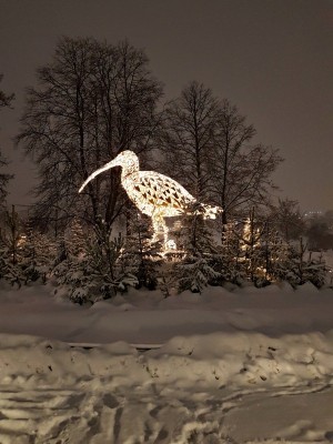 Bild 9.jpg